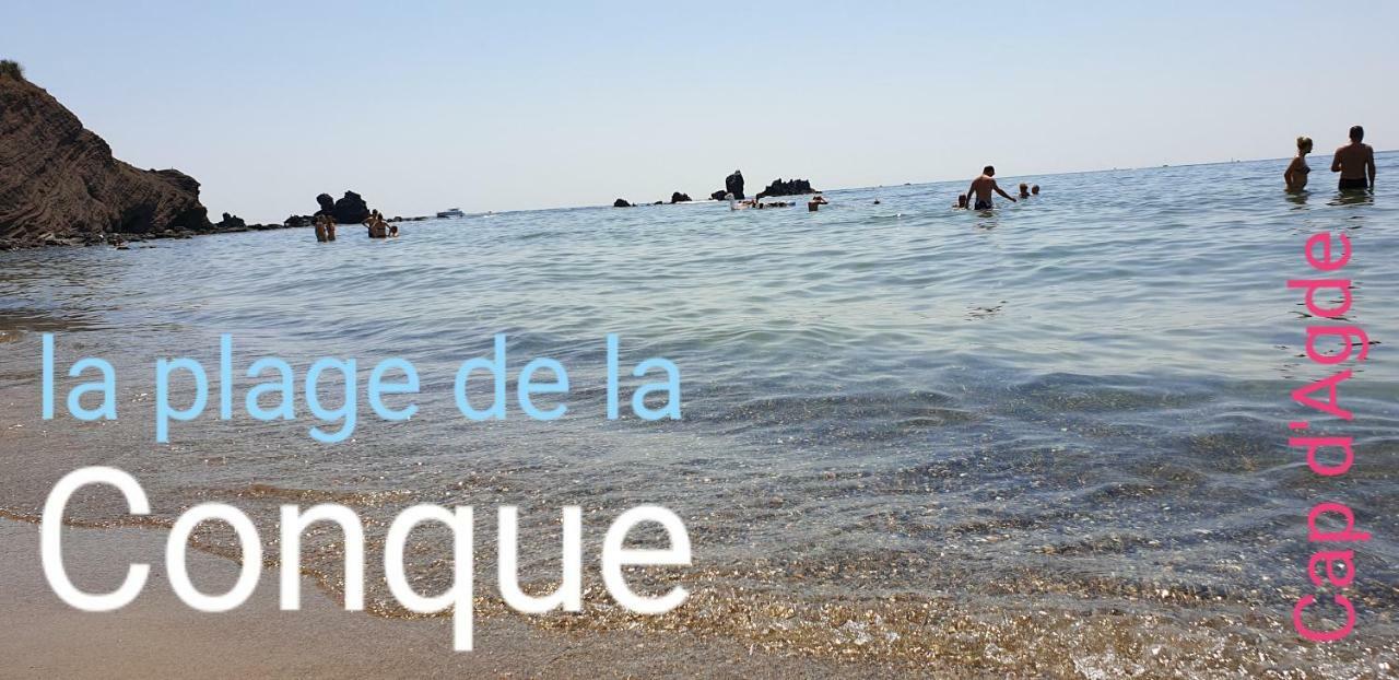 Residence De Standing La Pecherie Spacieux T3 Comme Un Cocon Familial Vue Mer Et Sur L'Avant Port Sur Le Bout Du Bout De Cap D'Agde Seule Cap En Occitanie מראה חיצוני תמונה